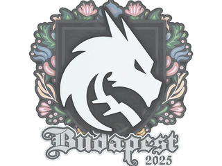 Sticker | Team Spirit | Budapest 2025