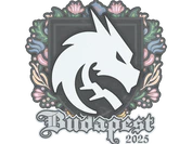 Sticker | Team Spirit | Budapest 2025 image