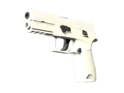 P250 | Whiteout image