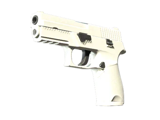 P250 | Whiteout image
