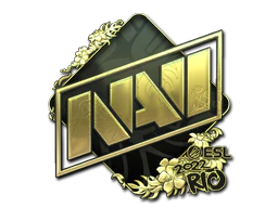 Sticker | Natus Vincere (Gold) | Rio 2022 image