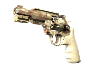 R8 Revolver | Desert Brush