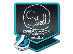 Sticker | steel | Cluj-Napoca 2015 image