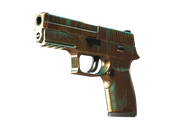 P250 | Verdigris image