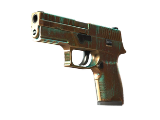 P250 | Verdigris image