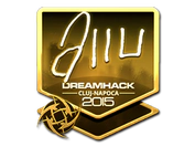 Sticker | allu (Gold) | Cluj-Napoca 2015 image