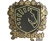 Sticker | Team Liquid (Gold) | Budapest 2025 image