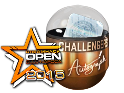 Autograph Capsule | Challengers (Foil) | Cluj-Napoca 2015 image