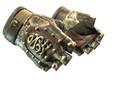 ★ Hydra Gloves | Rattler image