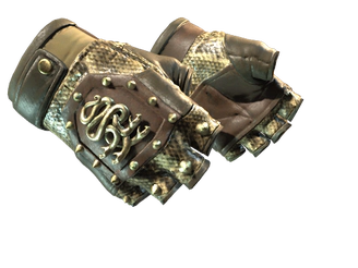 ★ Hydra Gloves | Rattler image