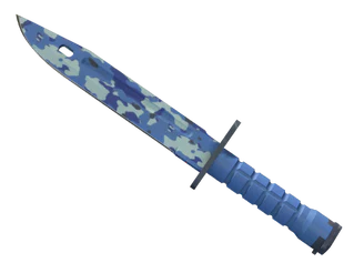 ★ Bayonet | Bright Water image