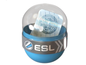 EMS Katowice 2014 Legends image