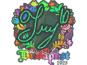 Sticker | TRY (Holo) | Budapest 2025 image