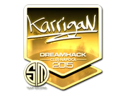 Sticker | karrigan (Gold) | Cluj-Napoca 2015 image