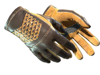 ★ Driver Gloves | Overtake