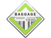 Baggage Pin image