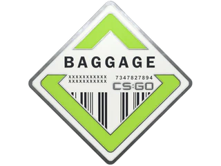 Baggage Pin