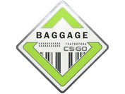 Baggage Pin image