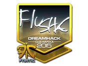 Sticker | flusha (Foil) | Cluj-Napoca 2015 image