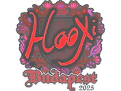 Sticker | HooXi | Budapest 2025 image