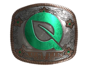 Sticker | FlyQuest (Foil) | Austin 2025 image