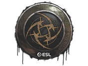 Sealed Graffiti | Ninjas in Pyjamas | Katowice 2019 image