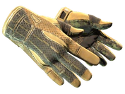 ★ Sport Gloves | Arid image
