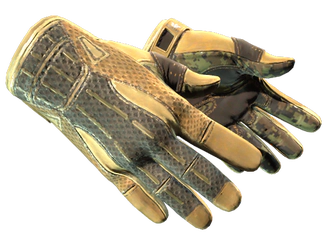 ★ Sport Gloves | Arid image