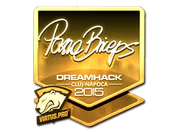 Sticker | pashaBiceps (Gold) | Cluj-Napoca 2015 image