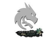 Sticker | Team Spirit | Antwerp 2022 image