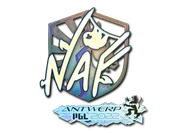 Sticker | NAF (Holo) | Antwerp 2022 image
