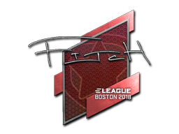 Sticker | fitch | Boston 2018 image