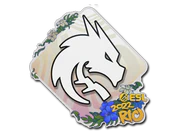Sticker | Team Spirit | Rio 2022 image