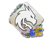 Sticker | Team Spirit | Rio 2022 image