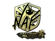 Sticker | NAF (Gold) | Antwerp 2022 image