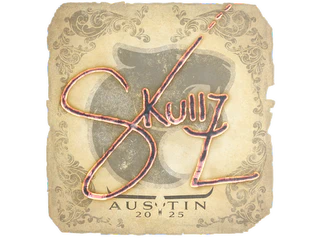 Sticker | skullz | Austin 2025