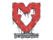 Sealed Graffiti | MOUZ | Copenhagen 2024 image