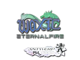 Sticker | woxic (Holo) | Antwerp 2022 image