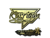 Sticker | karrigan (Gold) | Antwerp 2022 image
