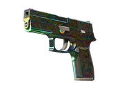 P250 | Visions image