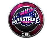 Sticker | Winstrike Team (Foil) | Katowice 2019 image