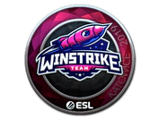 Sticker | Winstrike Team (Foil) | Katowice 2019 image