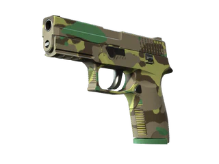 P250 | Boreal Forest