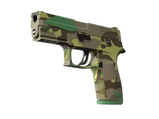 P250 | Boreal Forest image