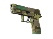 P250 | Boreal Forest image