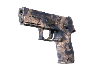 P250 | Drought image