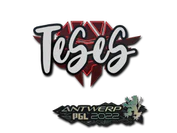 Sticker | TeSeS | Antwerp 2022 image