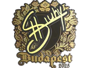 Sticker | siuhy (Gold) | Budapest 2025 image