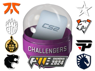 Shanghai 2024 Challengers Sticker Capsule