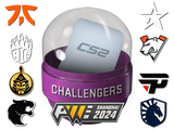 Shanghai 2024 Challengers Sticker Capsule
